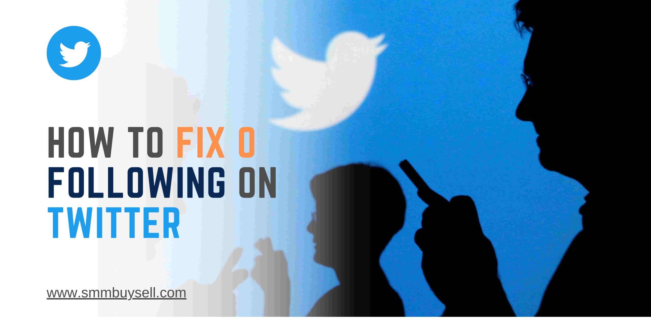 How To Fix 0 Following On Twitter