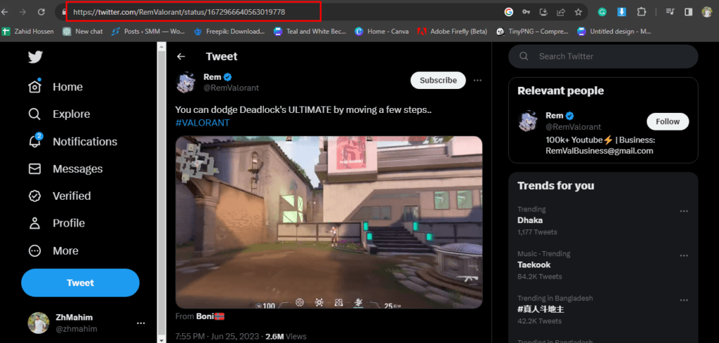 how to play twitter videos in discord